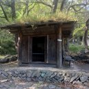 제주도유 이미지