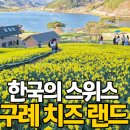 구례목장 | 전남 구례 가볼만한곳｜구례 치즈랜드 꽃 상태 실시간 후기