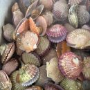 구산면618 이미지