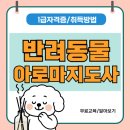 반려당 | 반려동물마사지 자격증 취득방법 및 공부 후기