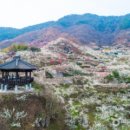 다온앤틱카페 이미지