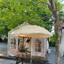 스카이 애견 이미지