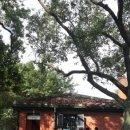 진리관광안내소 이미지