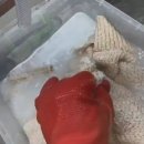 더 샵 크리닝 이미지