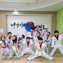 명성 바른자세 태권도 이미지