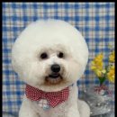 몽개구름 이미지