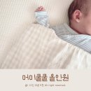 윤가이불 이미지