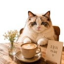커피볶는시골커피좌동점 | [김해 내외동 카페] 커피볶는 시골커피 신상 카페 후기