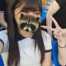 라쿤전자담배 | ♚다자이 오사무 기운 내!