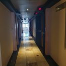 새미래트윈스 이미지