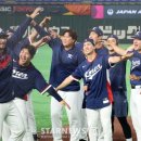 마이애미 이미지