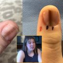 선닥터동물병원 이미지