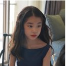 해든플랜