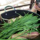 계곡산장 아래 이미지