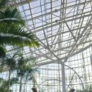 갈대2축구장 | [세종 가볼만한곳] 국립세종수목원 후기｜봄을 기다리며 본 ‘동백꽃 필 무렵’ 행사와 관람 꿀팁