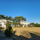 바오마루 이미지