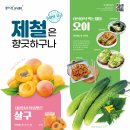 6월 제철포스터(살구, 오이) 이미지