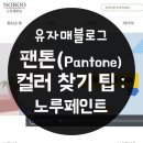 (주)노루케미칼노동조합 | 팬톤 컬러찾기 : 노루페인트 ( TPX )