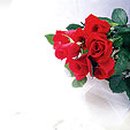 은혜여인숙 이미지