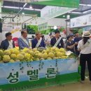 농협 하나로클럽 이미지