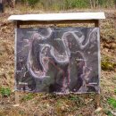 장군의집 민박 이미지