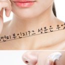 비젼에스테틱