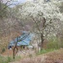 황토방펜션 이미지