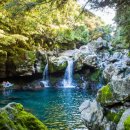 돈내코야영장화장실 이미지