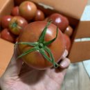 태규농장 이미지