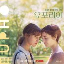 유포리아 티스토리