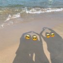 참조은농장 | 2025 하반기 일상