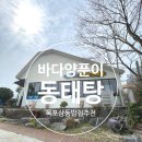 바다양푼이동태탕(목포터미널점) | 목포상동밥집 깔끔한 동태탕과 오겹살의 환상궁합 바다양푼동태탕 목포터미널점