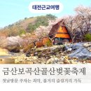 프리미어오토모빌(주) | 2026금산보곡산골산벚꽃축제 첫날 후기 주차 최악 내용은 알찼어요