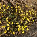 태양마을 이미지