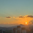 스쿨푸드딜리버리고양