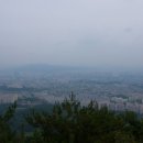 장동산림욕장 이미지