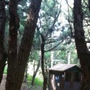 서전공인중개사사무소 이미지