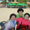 안내초등학교 이미지