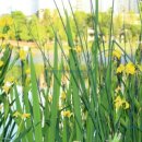 봉담호수공원 이미지