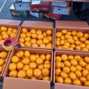 선산단계주차장 이미지