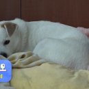 윤구농장 이미지