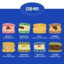 널담 뚱카롱 뚱낭시에 1+1 기획 구매 배송 맛 솔직후기