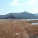 반도여관 이미지