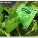 웰빙녹즙 - 서구 | 웰빙녹즙