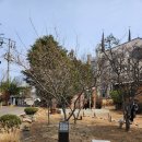 온세교회 | 「대구」 온세면 월성본점 ｜ 청라언덕 ｜ 대구제일교회 ｜ 이상화 서상돈 고택