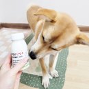 최정언산양목장 이미지