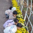 강원도립화목원 이미지