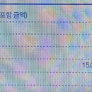 에버독 이미지