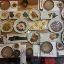 모박사