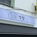 꽃물 공원 | 고양 화정 강아지 미용 맛집 멍빛 내돈내산 핵추천 후기